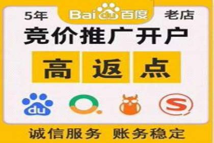 SEM推广案例：揭秘高ROI背后的策略与实践